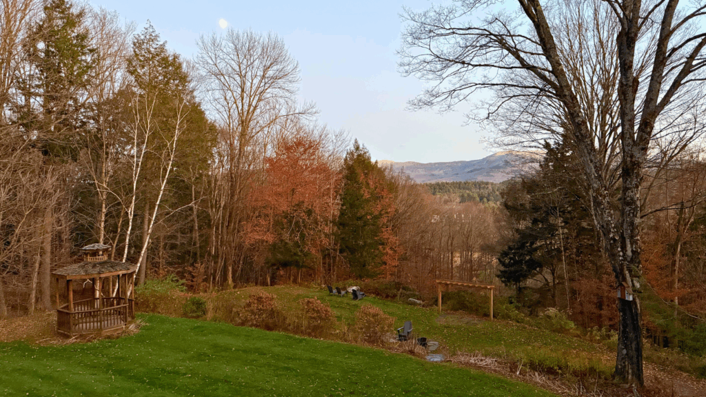Mountain Views from Timberholm Inn during November